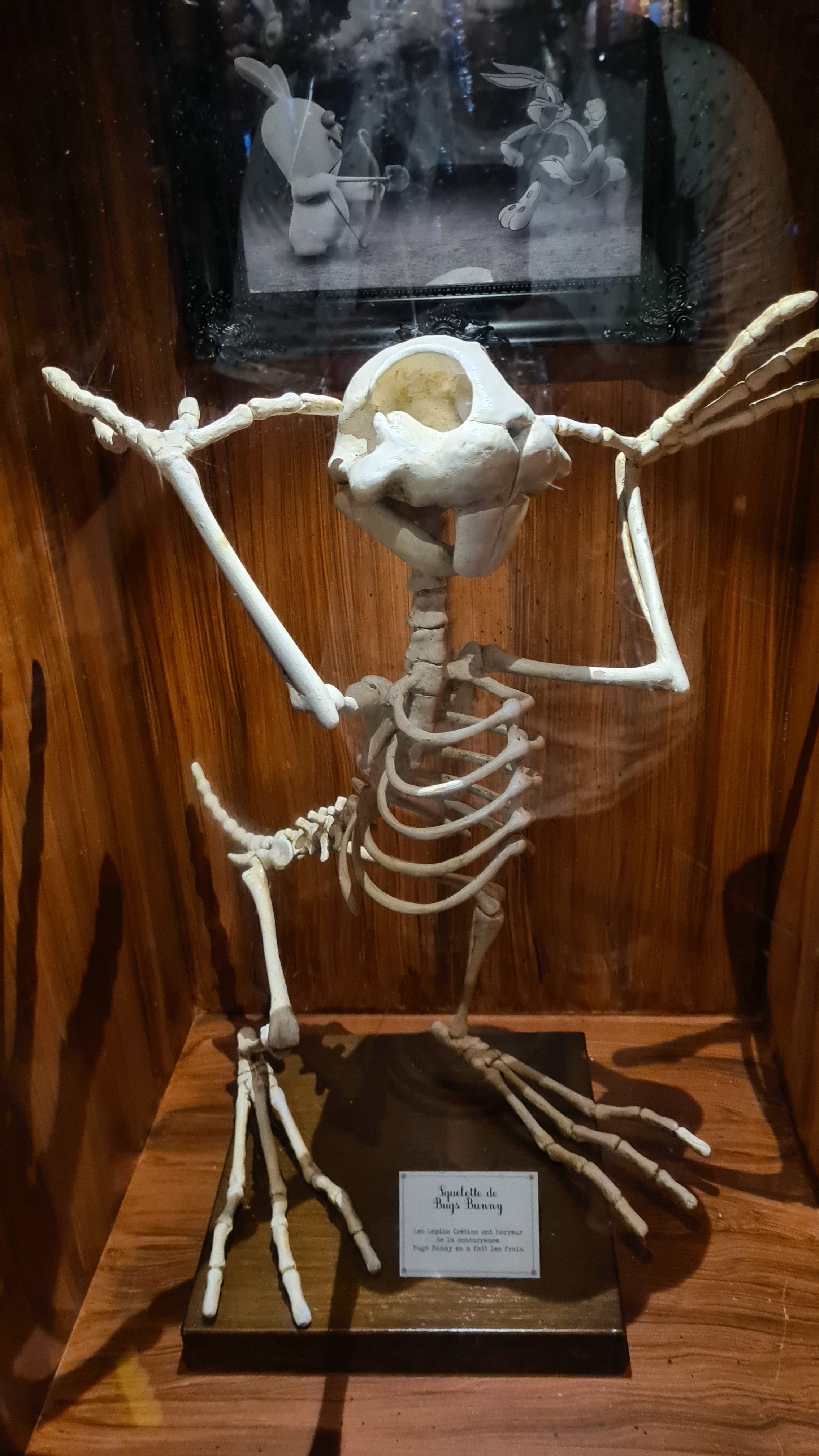 Photo n° 1 de l'avis de Prins.o fait le 25/08/2022 à 21:57