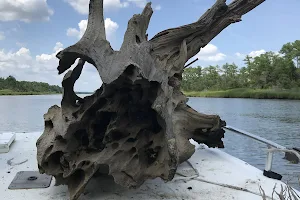 Palmetto Driftwood & Natural Gifts image