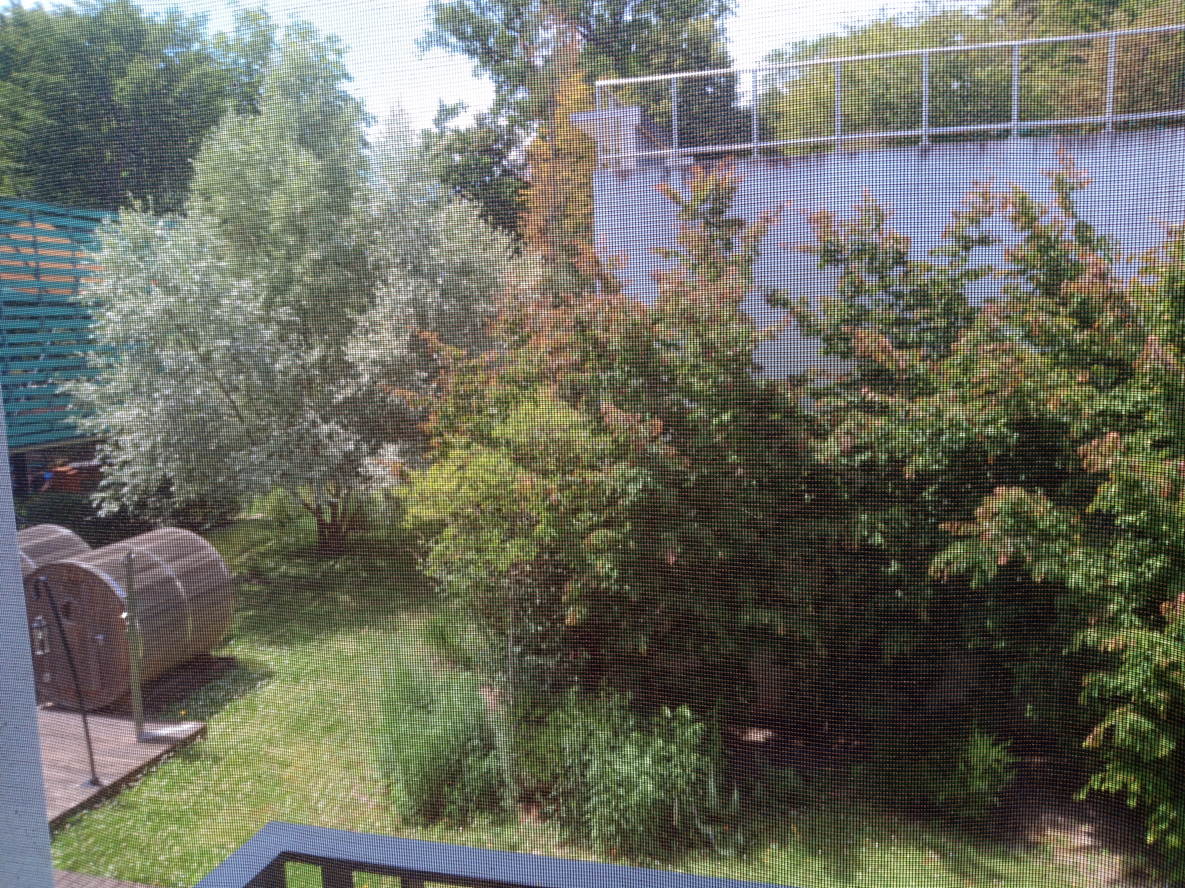 Photo n° 12 de l'avis de Alexandre.� fait le 15/06/2022 à 19:17