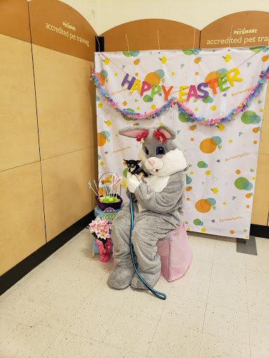 Pet Supply Store «PetSmart», reviews and photos, 13927 New Halls Ferry Road, Florissant, MO 63033, USA