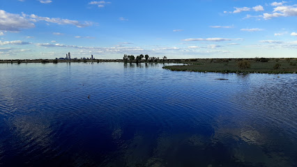 Laguna De Los Patos