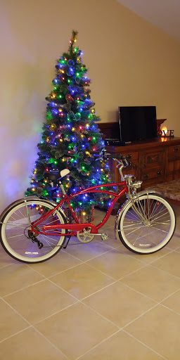 Bicycle Store «Fort Myers Cyclery - Schwinn GT Jamis Colnago», reviews and photos, 3630 S Cleveland Ave, Fort Myers, FL 33901, USA