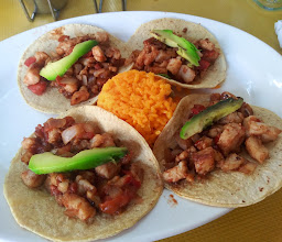 Gory Tacos photo