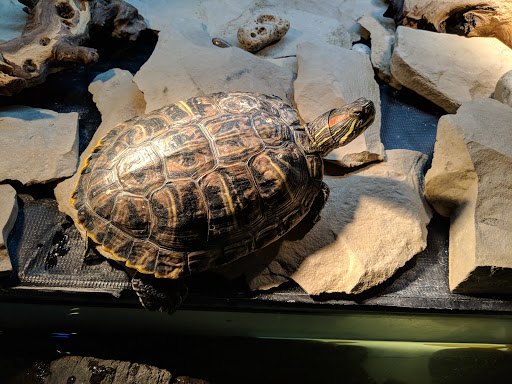 Museum «National Great Rivers Museum», reviews and photos, Lock and Dam Way, Alton, IL 62002, USA