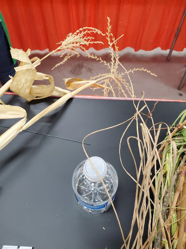 Florist «Kiku Floral», reviews and photos, 3714 N Valentine Ave, Fresno, CA 93722, USA