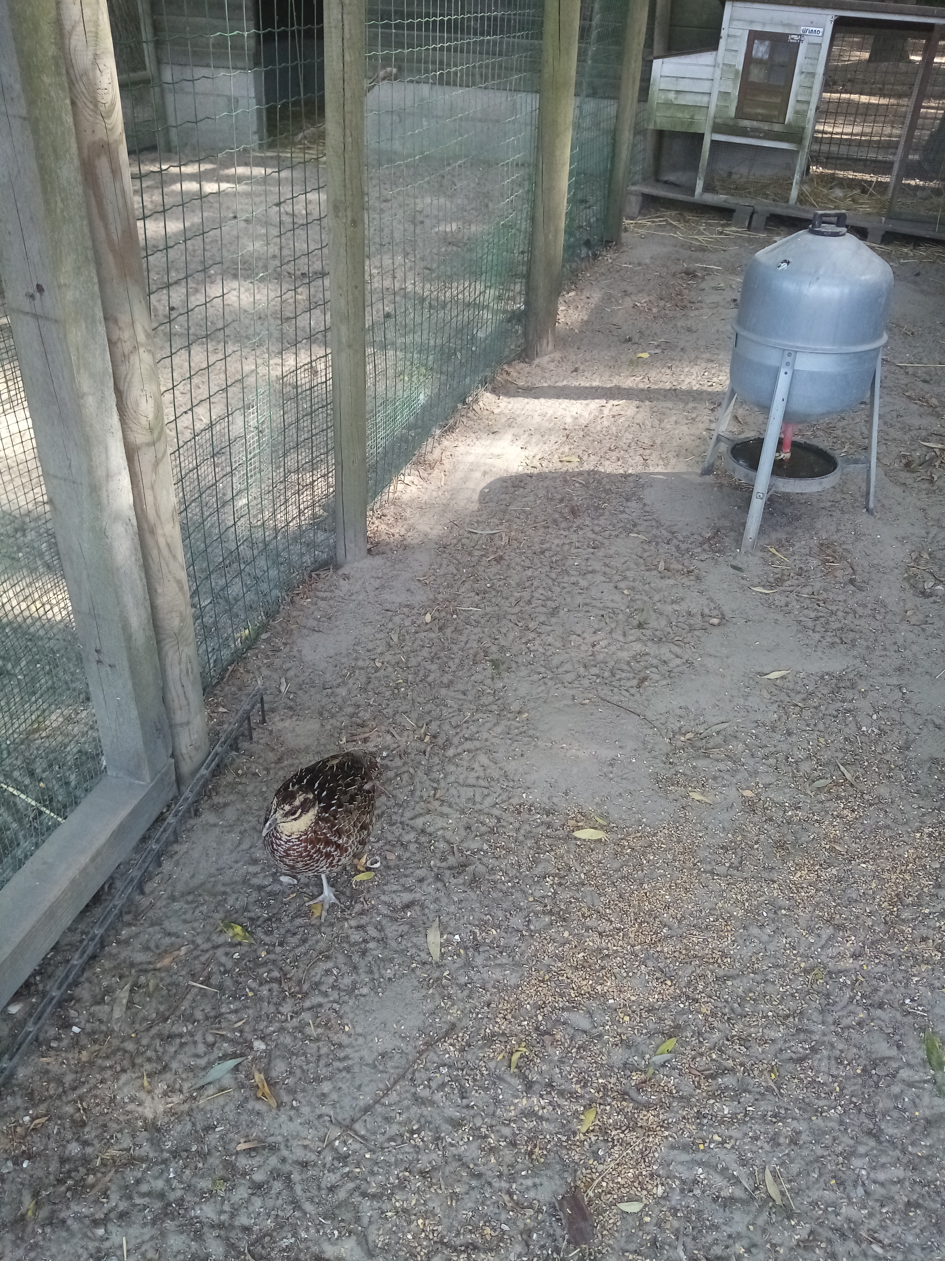 Photo n° 3 de l'avis de gerard.e fait le 23/03/2019 à 21:26