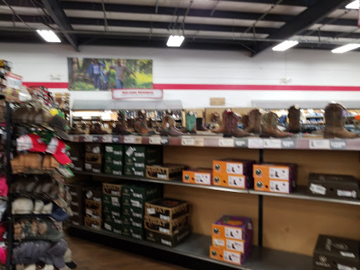 Home Improvement Store «Tractor Supply Co.», reviews and photos, 3345 US-1, St Augustine, FL 32086, USA
