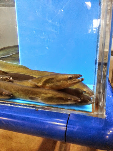 Asian Grocery Store «Asian Market», reviews and photos, 1711 Fort Henry Dr, Kingsport, TN 37664, USA