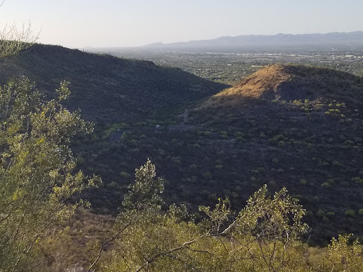 Public Golf Course «Silverbell Golf Course», reviews and photos, 3600 N Silverbell Rd, Tucson, AZ 85745, USA
