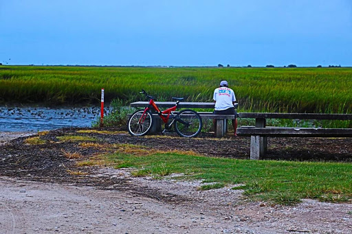 Park «Morse Park Landing», reviews and photos, 4939 US-17 BUS, Murrells Inlet, SC 29576, USA