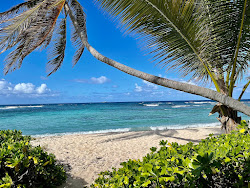 Photo de Pelican Cove beach avec un rivage spacieux