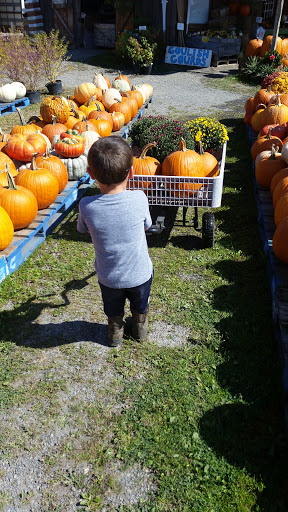 Produce Market «The Bigsby Market», reviews and photos, 1418 Dryden Rd, Freeville, NY 13068, USA