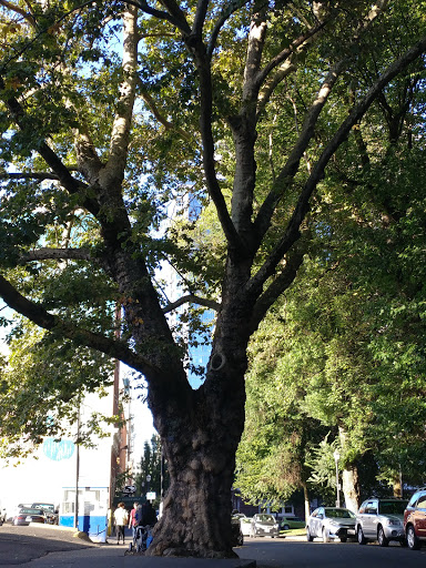 Performing Arts Theater «Arlene Schnitzer Concert Hall», reviews and photos, 1037 SW Broadway, Portland, OR 97205, USA