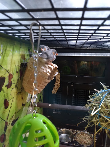 Pet Supply Store «PetSmart», reviews and photos, 919 Lakeland Park Center Dr Unit 380, Lakeland, FL 33809, USA