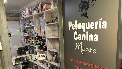 Peluqueria canina Aquazul IIAlimentación y Complementos - Servicios para mascota en Alicante (Alacant)