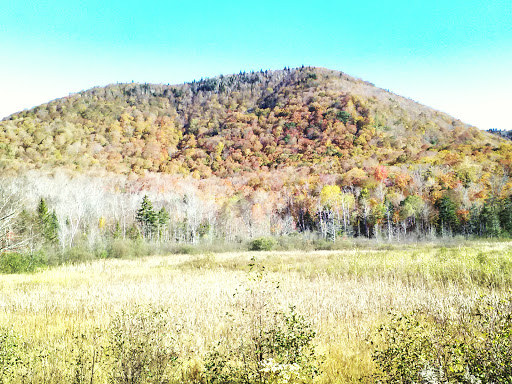 National Forest «Green Mountain and Finger Lakes National Forests», reviews and photos, 231 N Main St, Rutland, VT 05701, USA