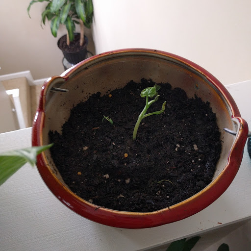 Thrift Store «Durham Rescue Mission Thrift Stores», reviews and photos