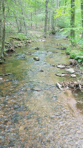 Nature Preserve «Strawberry Hill Nature Preserve», reviews and photos, 1537 Mt Hope Rd, Fairfield, PA 17320, USA