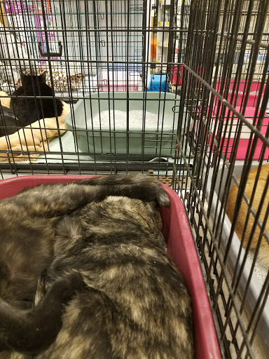 Pet Supply Store «PetSmart», reviews and photos, 7600 Edinger Ave, Huntington Beach, CA 92647, USA