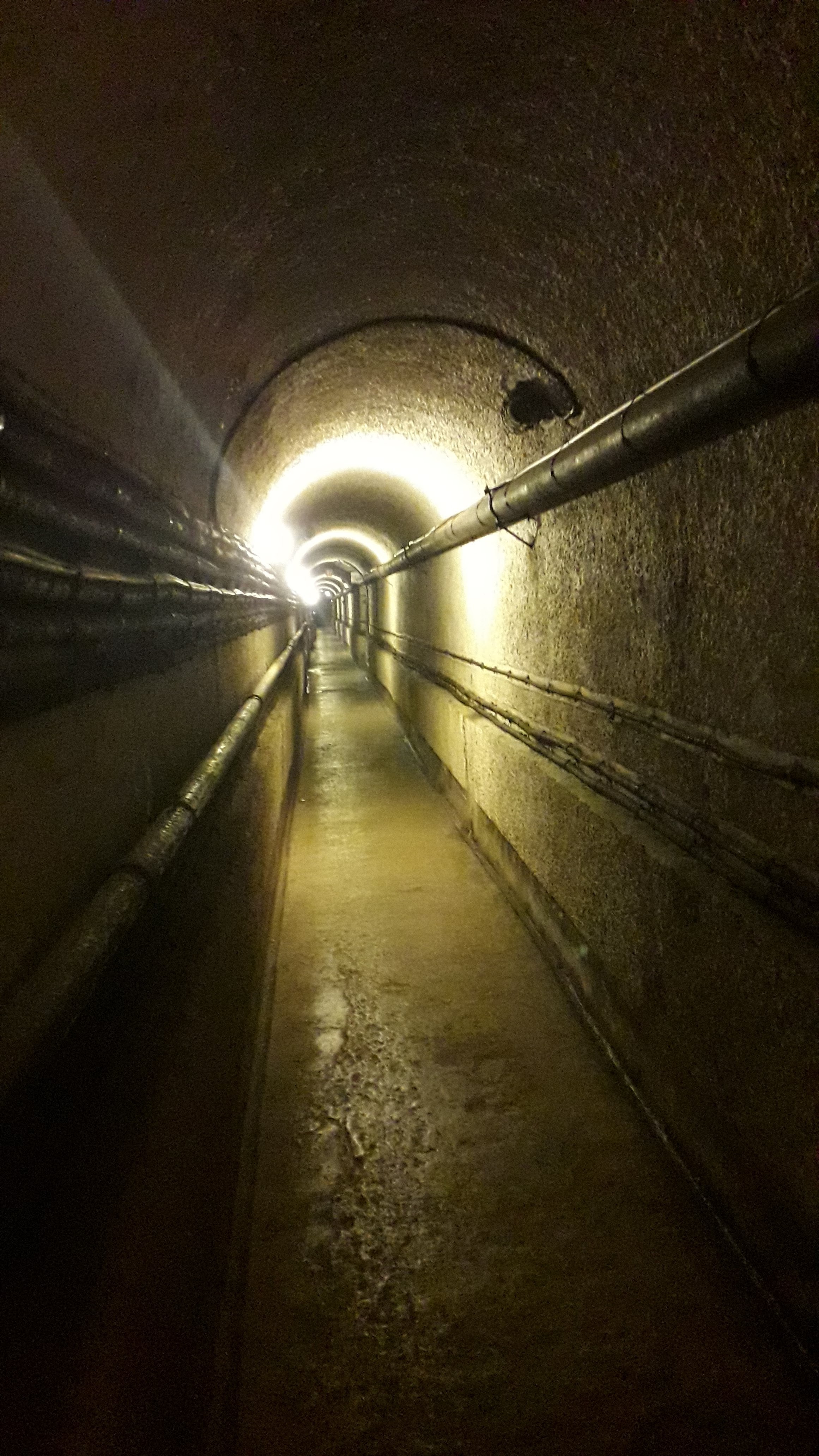 Photo n° 4 de l'avis de Cindy.h fait le 17/07/2022 à 11:23