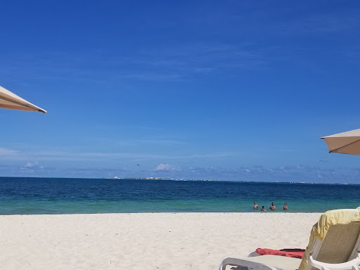 2460 Main St, Springfield, MA 01107, USA