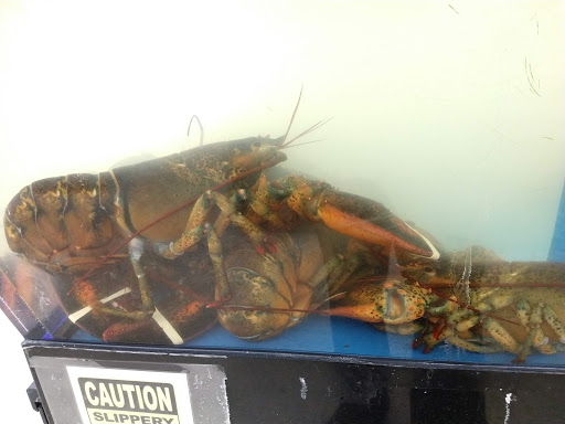 Asian Grocery Store «Kim Son Asian Food Market», reviews and photos, 960 E Pawnee St, Wichita, KS 67211, USA