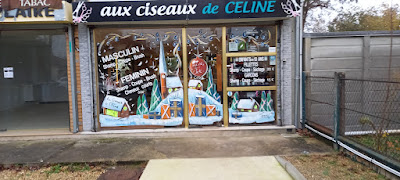 Aux Ciseaux de Céline à Brunoy