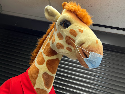 Toy Store «Dallas Vintage Toys», reviews and photos, 12052 Forestgate Dr, Dallas, TX 75243, USA