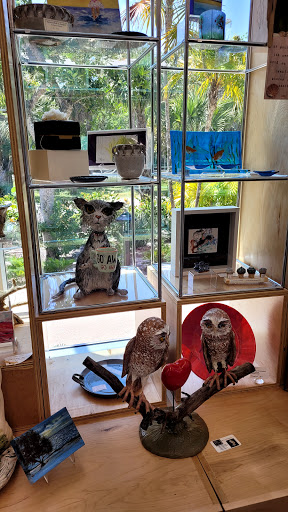 Art Center «BIG ARTS Sanibel», reviews and photos, 900 Dunlop Rd, Sanibel, FL 33957, USA