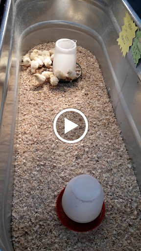 Department Store «Rural King», reviews and photos, 2947 S Washington St, Kokomo, IN 46902, USA