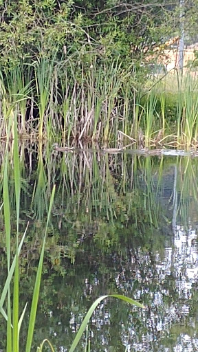 Park «Meridian Habitat Park & Community Center», reviews and photos, 14422 Meridian E, Puyallup, WA 98375, USA