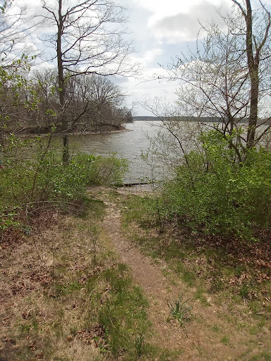 Recreation Center «Go Ape Zip Line & Treetop Adventure - Eagle Creek Park», reviews and photos, 5855 Delong Rd, Indianapolis, IN 46254, USA