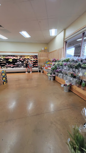 Trader Joes image