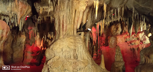 Zoo «Desert Dome & Kingdoms of the Night», reviews and photos, 3701 S 10th St, Omaha, NE 68108, USA