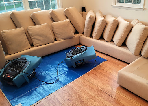 Next Level Floor Care (Carpet Cleaning, Upholstery Cleaning, Rug Cleaning)