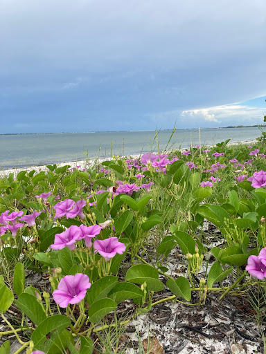 Nature Preserve «San Carlos Bay - Bunche Beach Preserve», reviews and photos, 18201 John Morris Rd, Fort Myers, FL 33908, USA