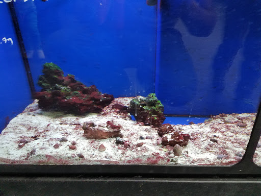 Pet Supply Store «Pet Club Fairfield», reviews and photos, 5125 Business Center Dr, Fairfield, CA 94534, USA