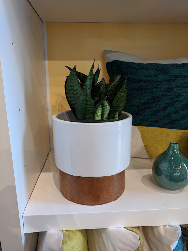 Furniture Store «west elm», reviews and photos, 1011 W 5th St #100, Austin, TX 78703, USA