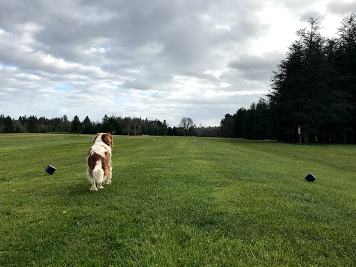 Golf Course «Sandelie Original 18-Hole Golf Course», reviews and photos, 28333 SW Mountain Rd, West Linn, OR 97068, USA