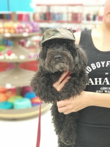 Pet Supply Store «Petco Animal Supplies», reviews and photos, 13127 N Dale Mabry Hwy, Tampa, FL 33618, USA