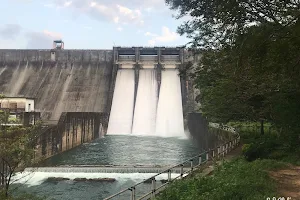 Thenmala Dam image
