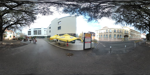 site_photo3
