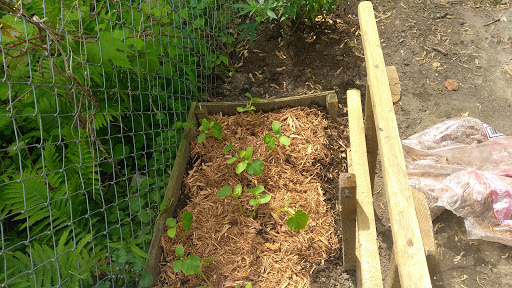 Supermarket «Mt Clemens farmers Market», reviews and photos, 135 N River Rd, Mt Clemens, MI 48043, USA