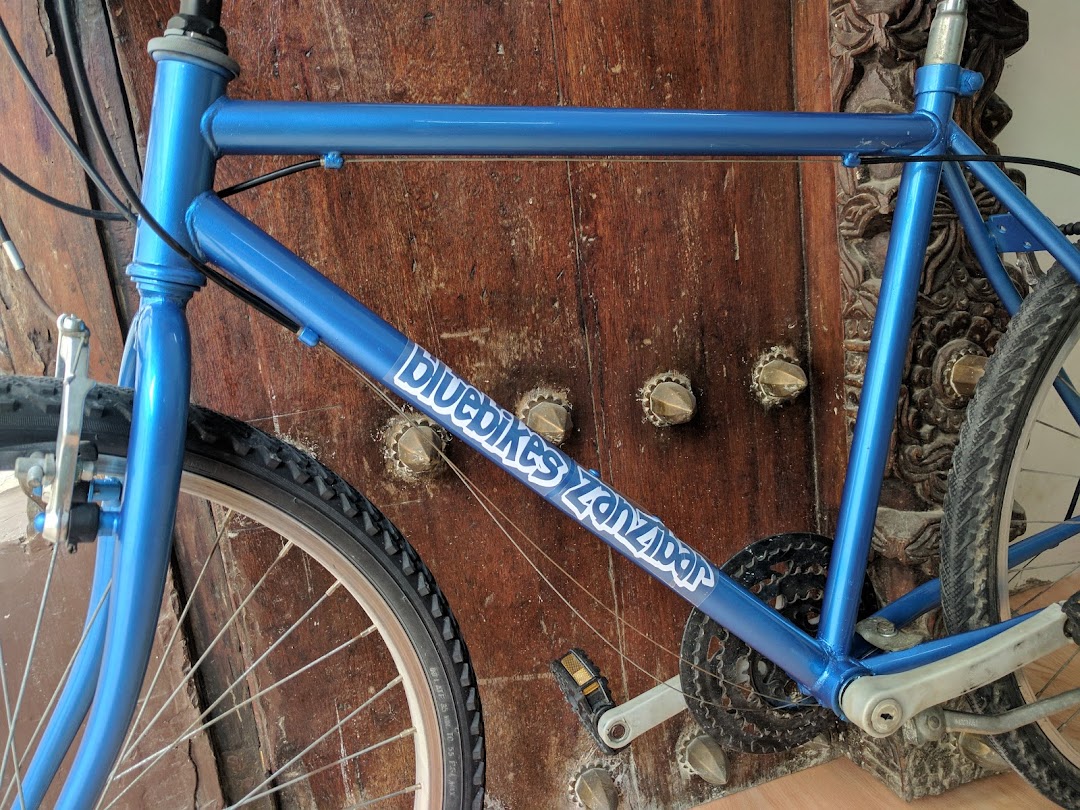 Bluebikes Zanzibar