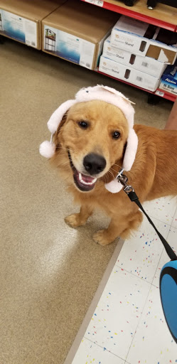 Pet Supply Store «Petco Animal Supplies», reviews and photos, 20111 US-19 #201c, Cranberry Twp, PA 16066, USA