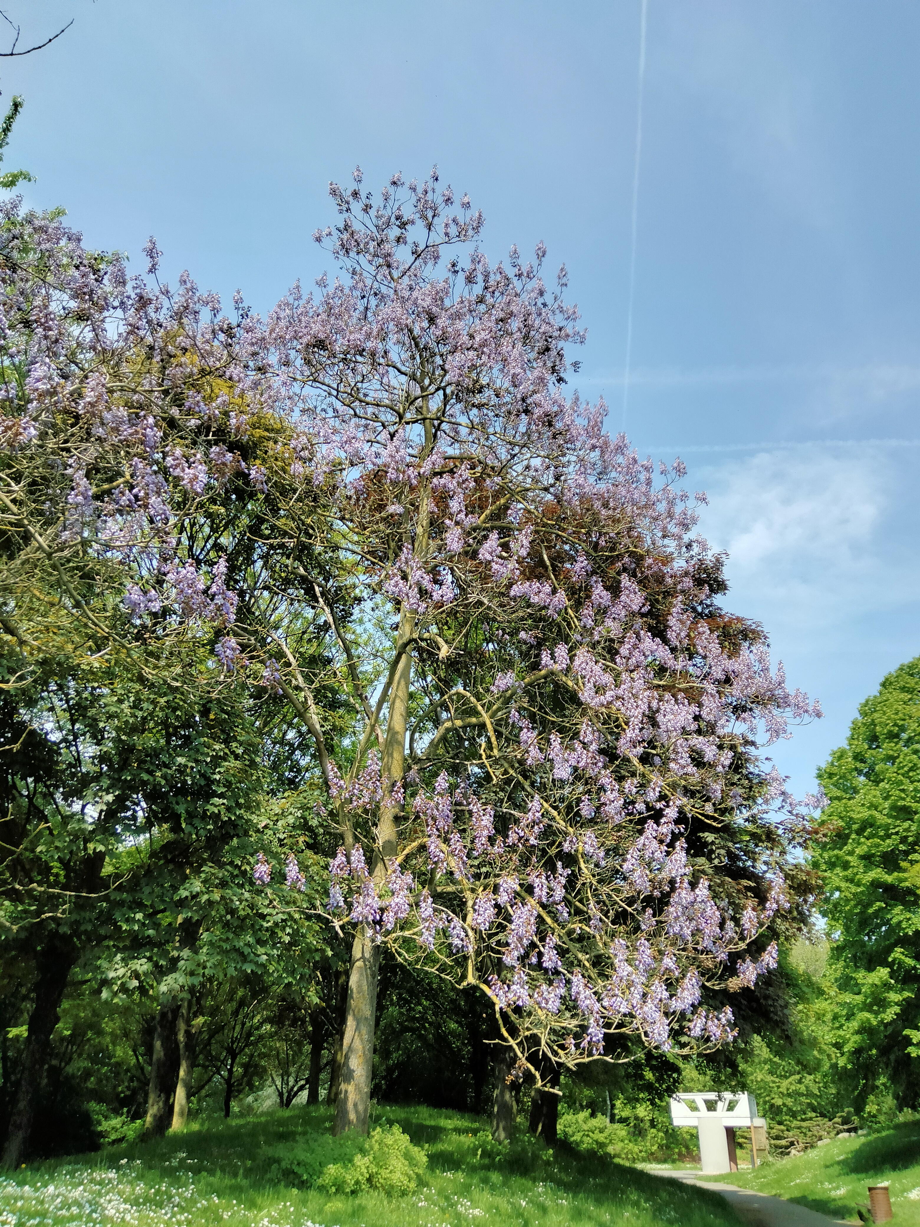 Photo n° 1 de l'avis de frederic.h fait le 14/05/2023 à 14:47