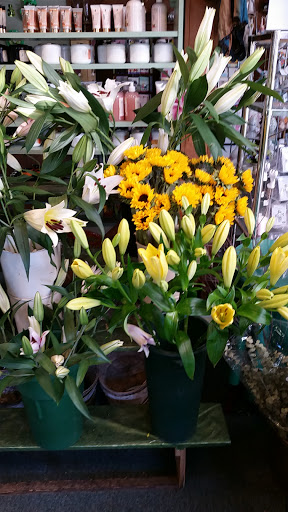 Florist «River Dell Flowers & Gifts», reviews and photos, 241 Kinderkamack Rd, Oradell, NJ 07649, USA