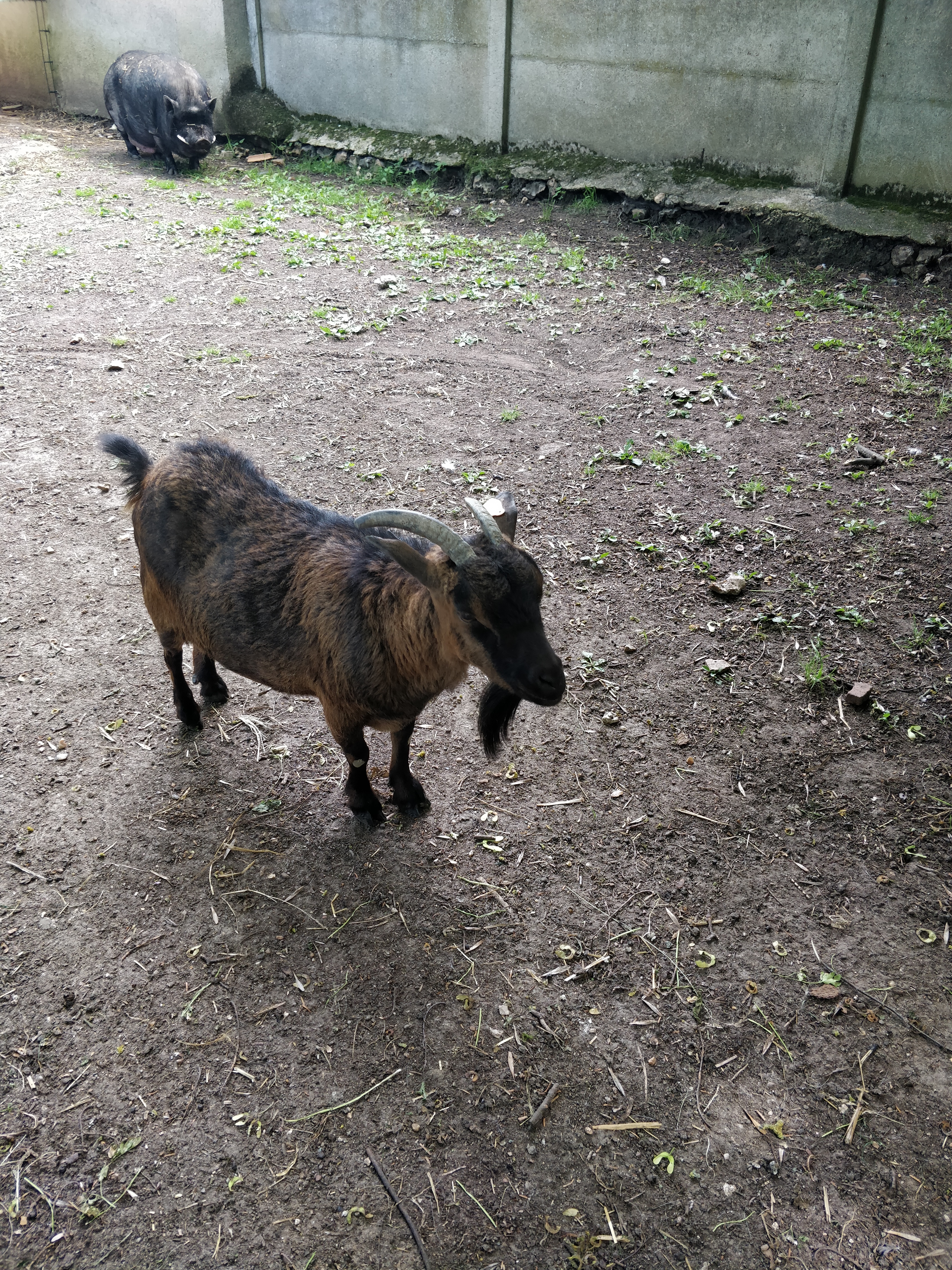 Photo n° 4 de l'avis de Be.a fait le 29/06/2019 à 08:30