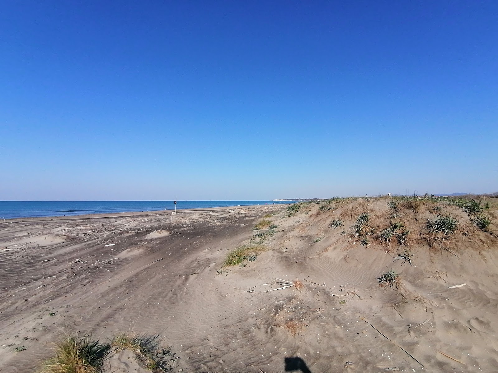 Photo de Ospedale Bambin Gesu Beach zone sauvage