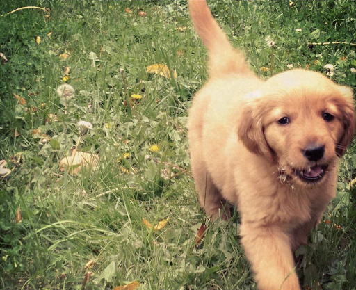 2980 Winder Hwy, Dacula, GA 30019, USA